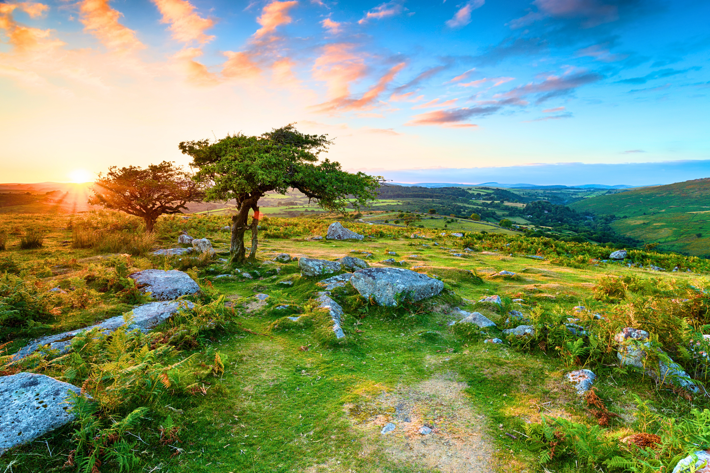 dartmoor national park.webp